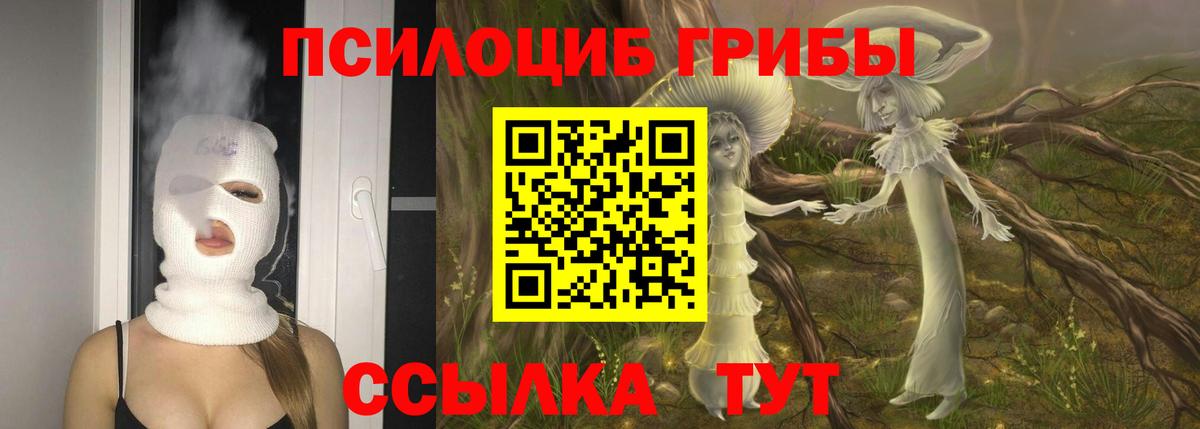 Галлюциногенные грибы Magic Shrooms  Вход с VPN  Кудрово 